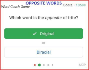 Word Coach Opposite Words