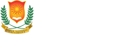 Jaipur National University