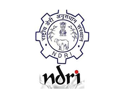 College Logo